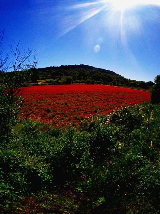 La Perle De Gordes